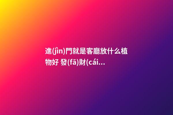 進(jìn)門就是客廳放什么植物好 發(fā)財(cái)樹金玉滿堂